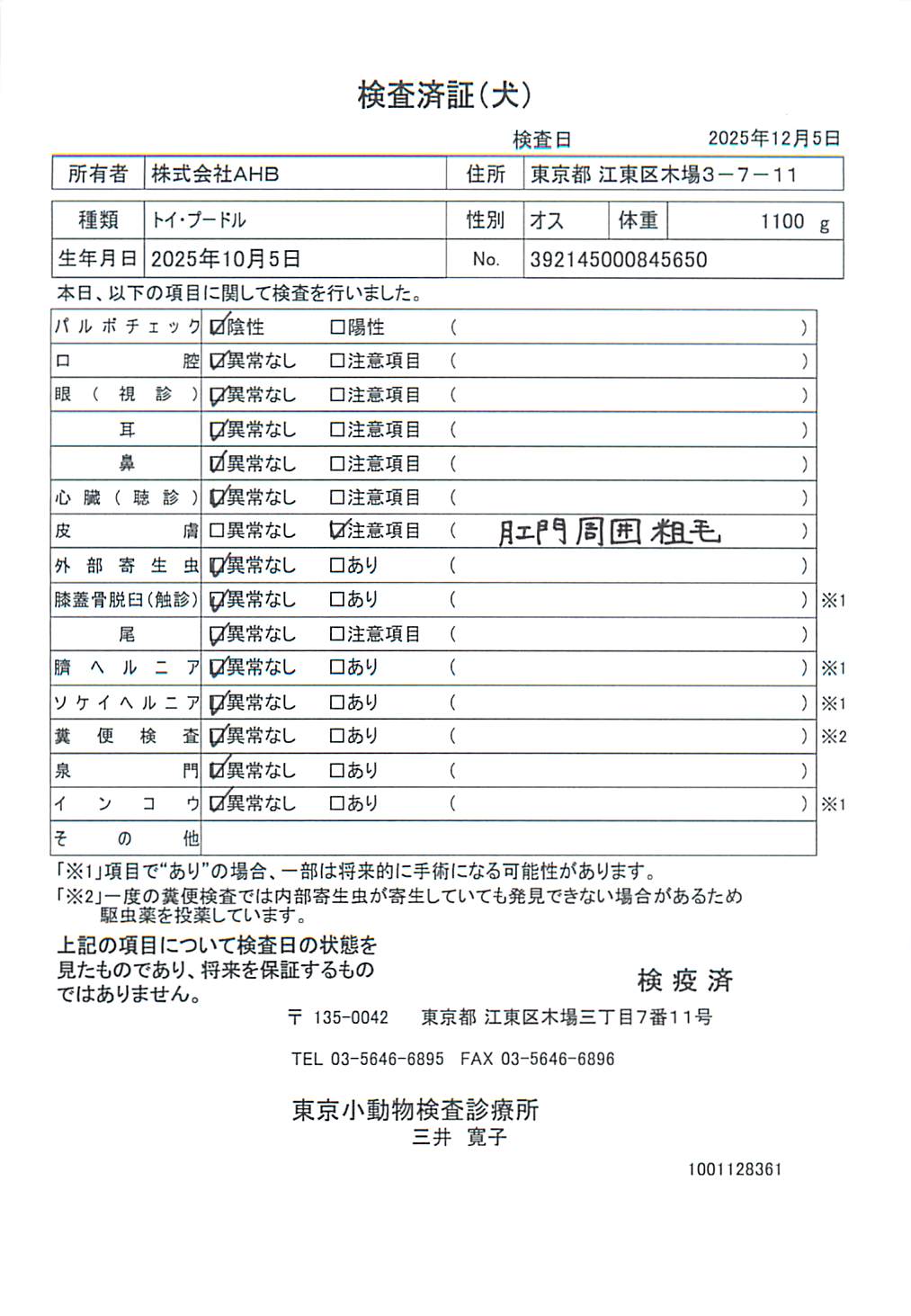 トイ・プードル