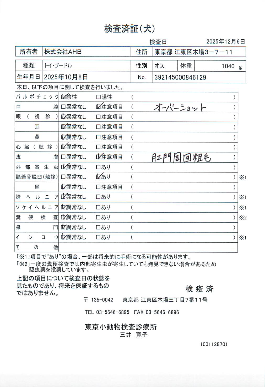 トイ・プードル