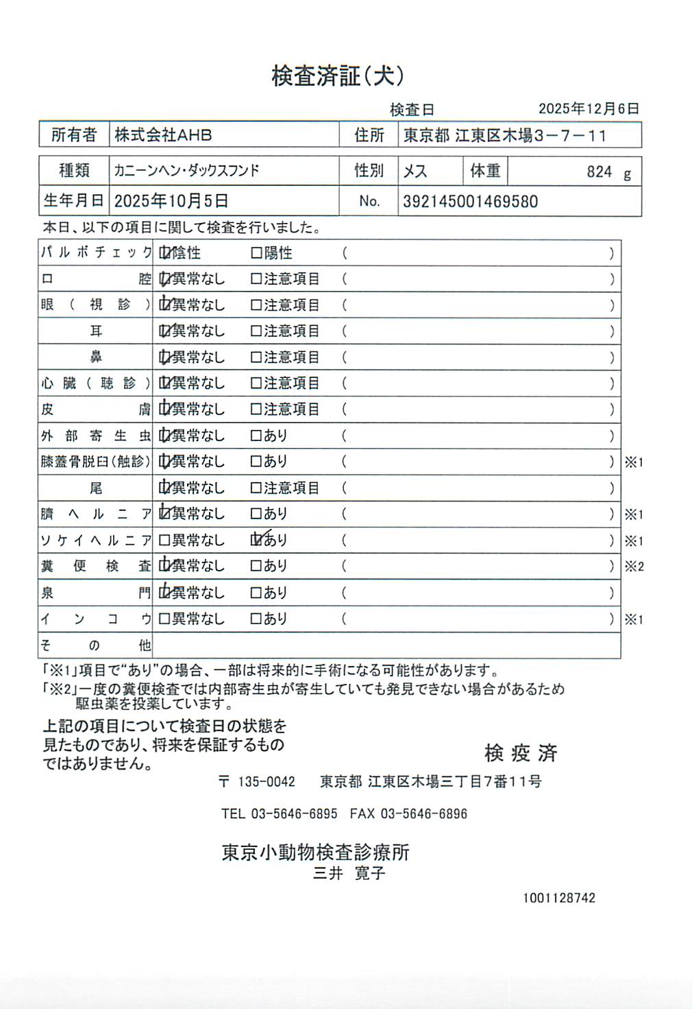 カニーンヘン・ダックスフンド