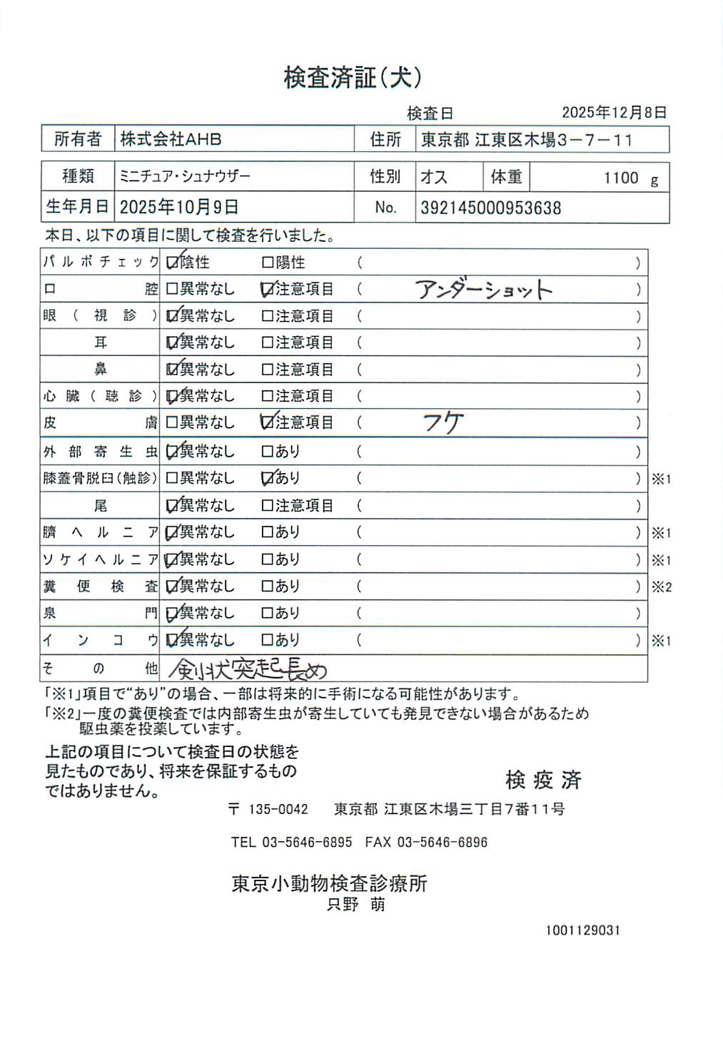 ミニチュア・シュナウザー