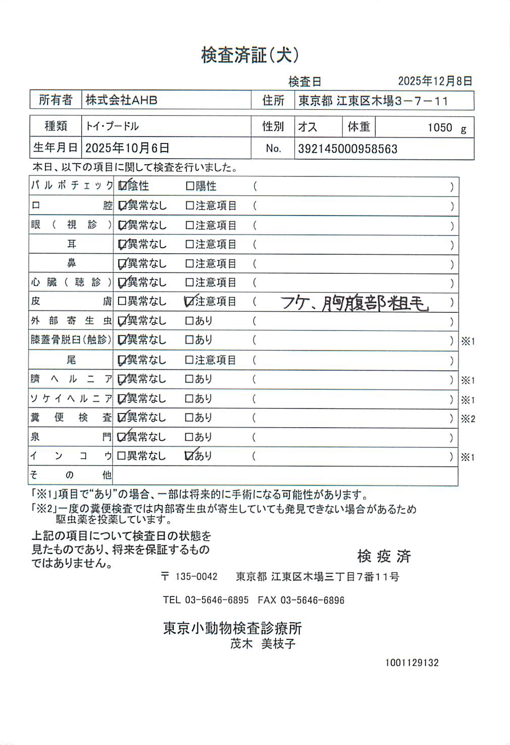 トイ・プードル