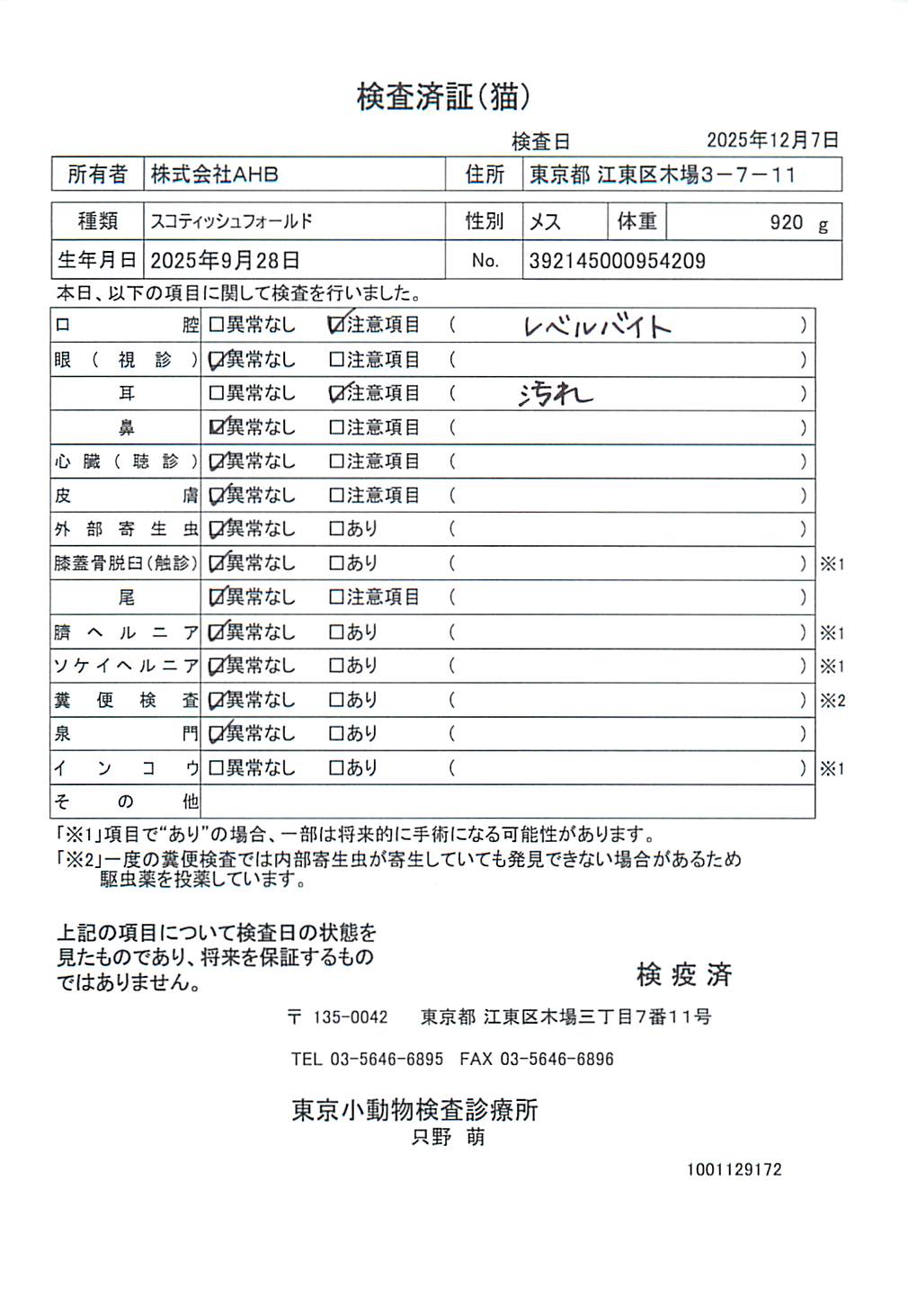スコティッシュフォールド