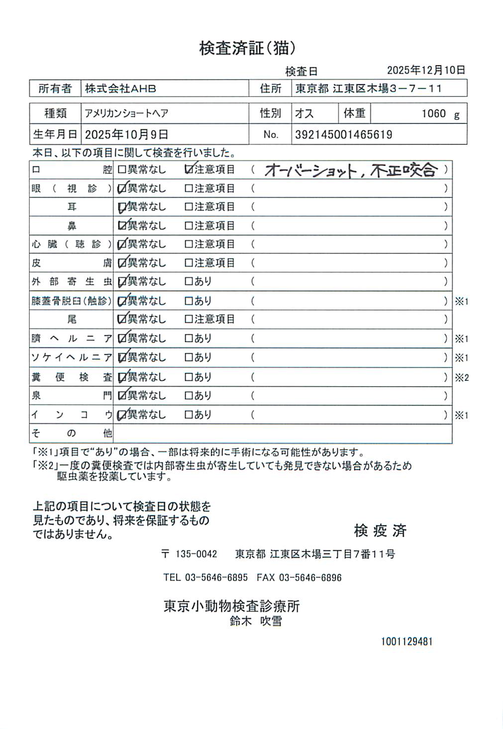 アメリカンショートヘア