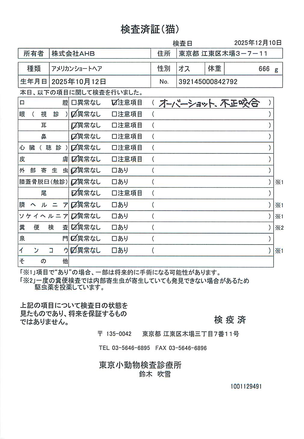 アメリカンショートヘア