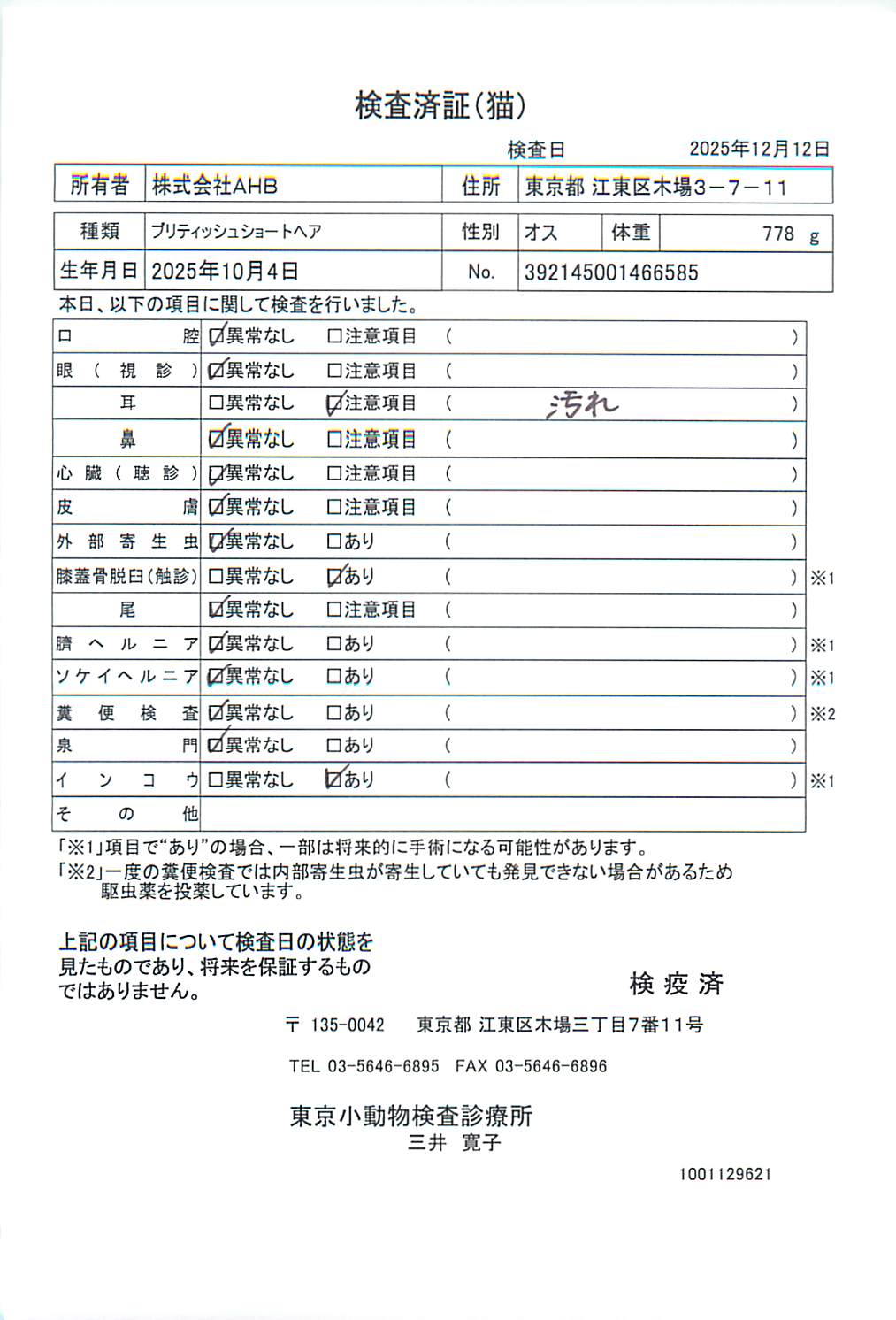 ブリティッシュショートヘア