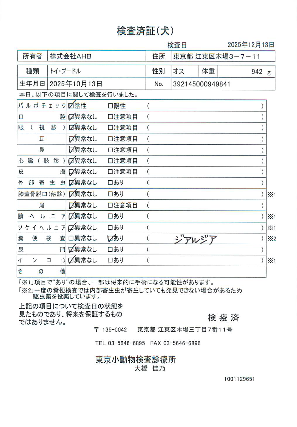 トイ・プードル
