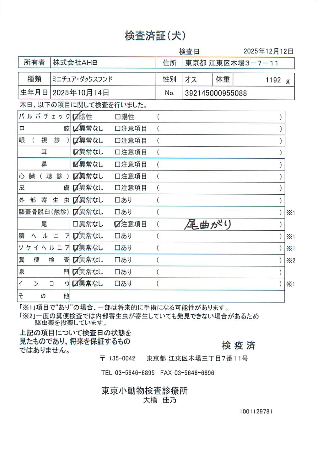ミニチュア・ダックスフンド