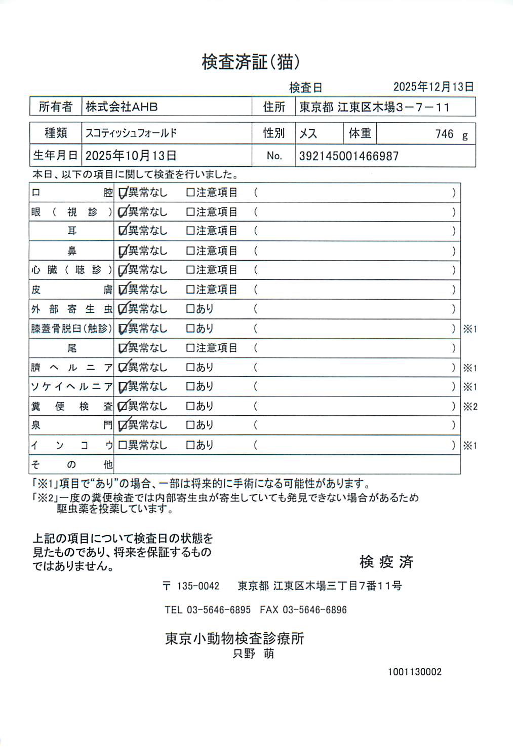 スコティッシュフォールド