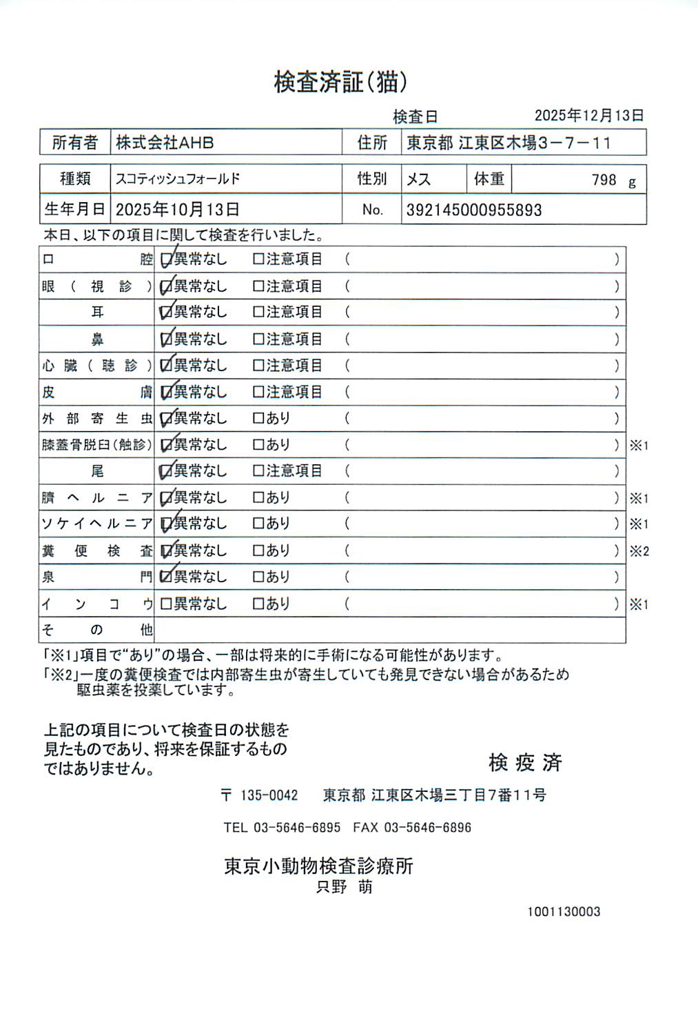 スコティッシュフォールド