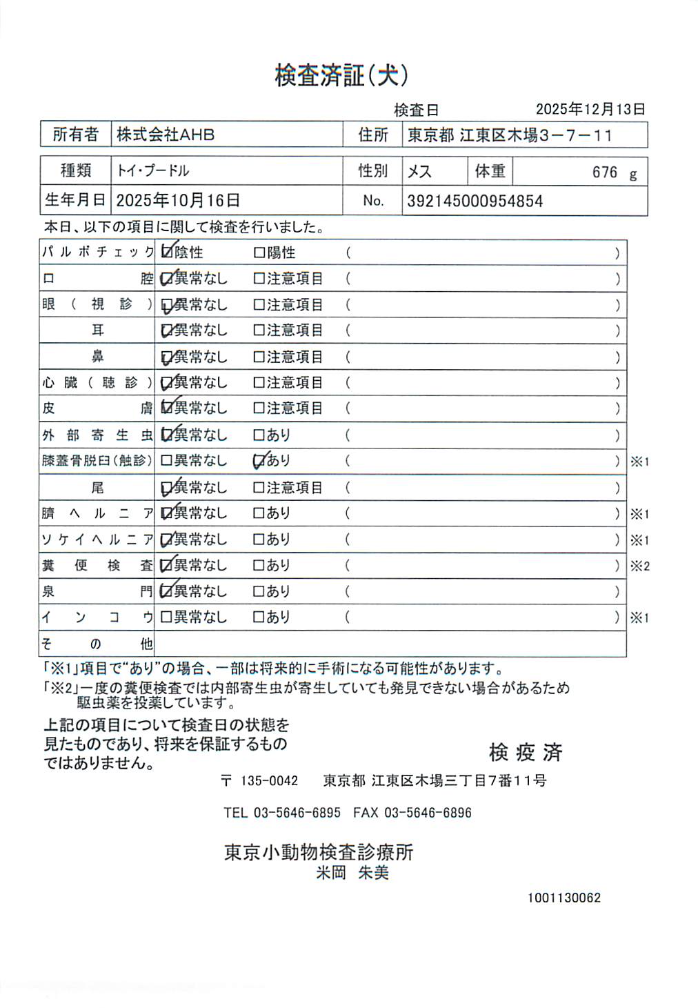 トイ・プードル