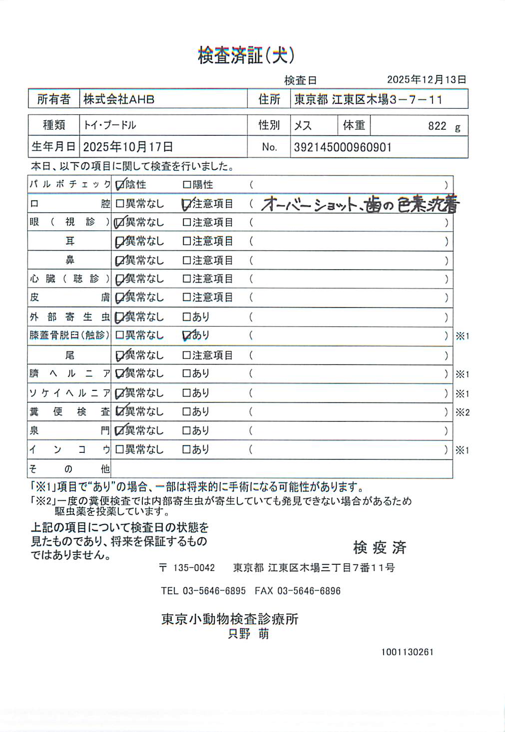 トイ・プードル