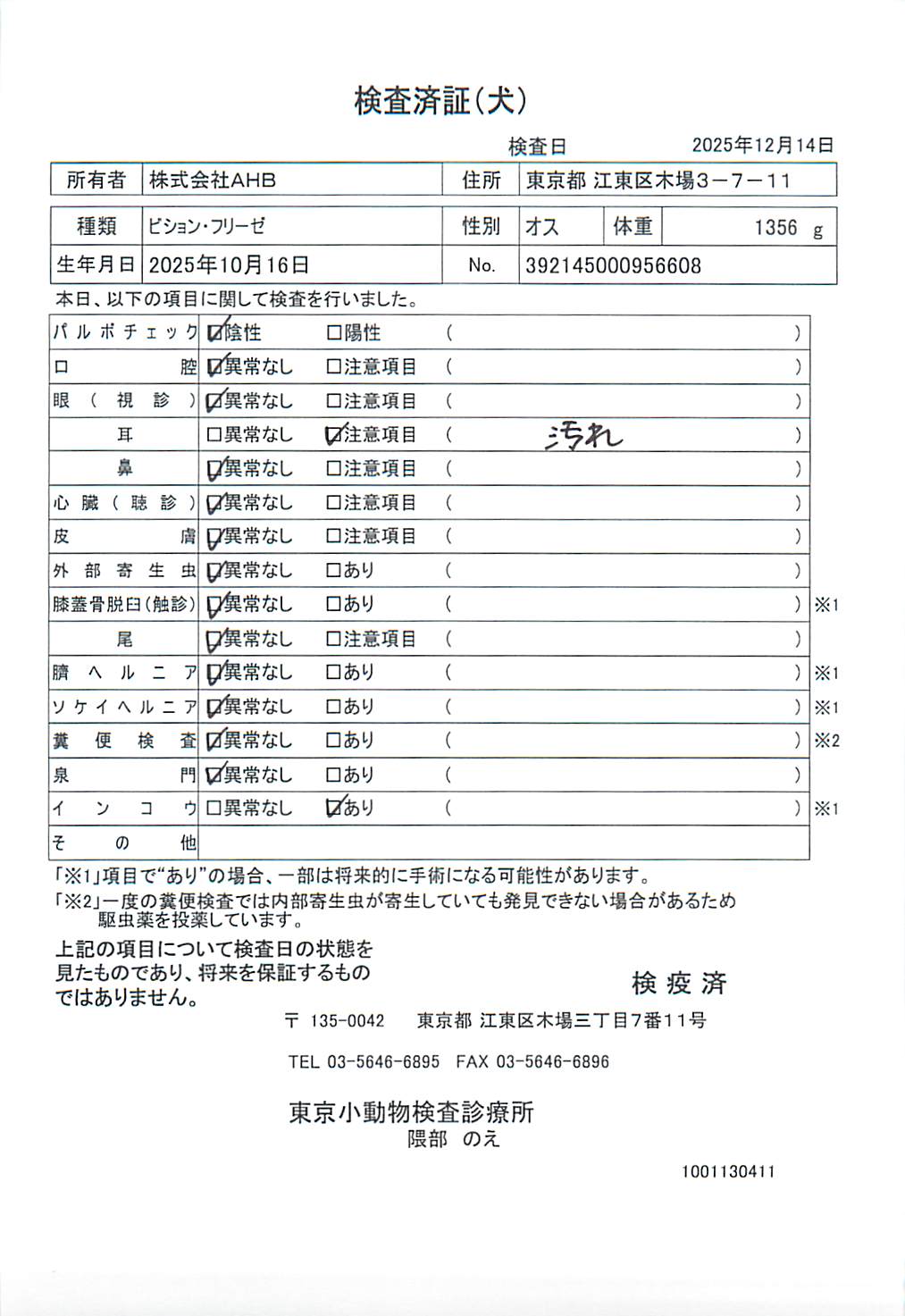 ビション・フリーゼ
