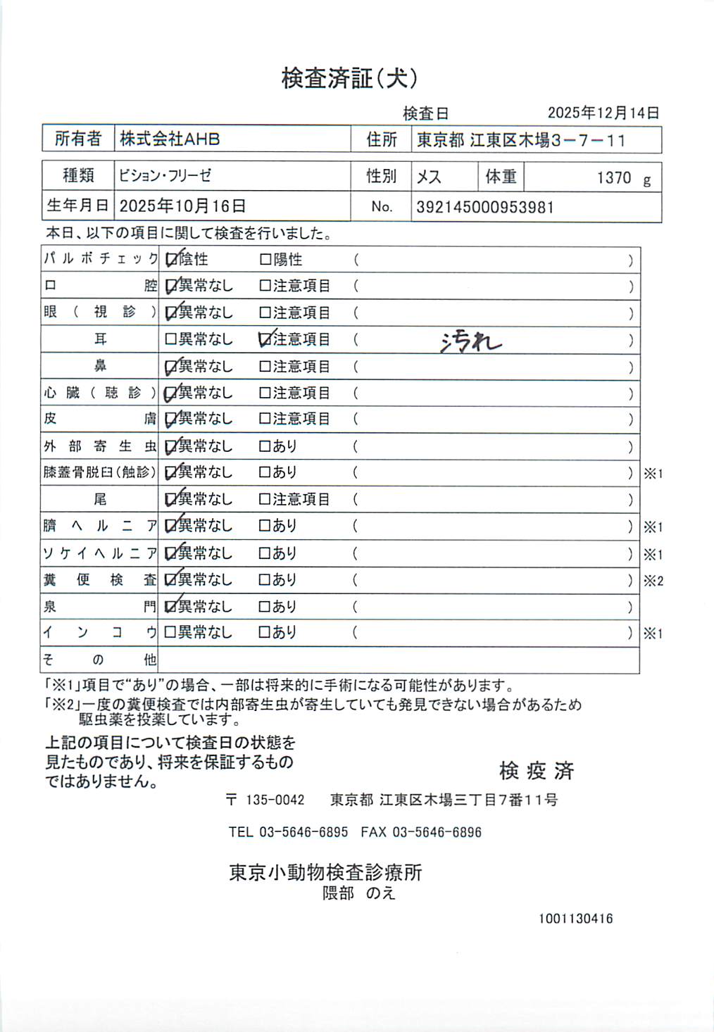 ビション・フリーゼ
