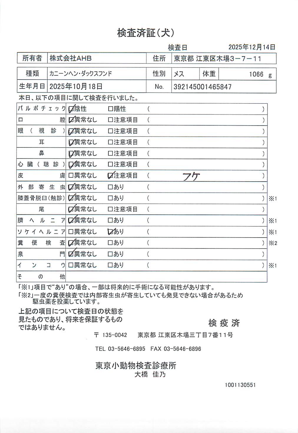 カニーンヘン・ダックスフンド