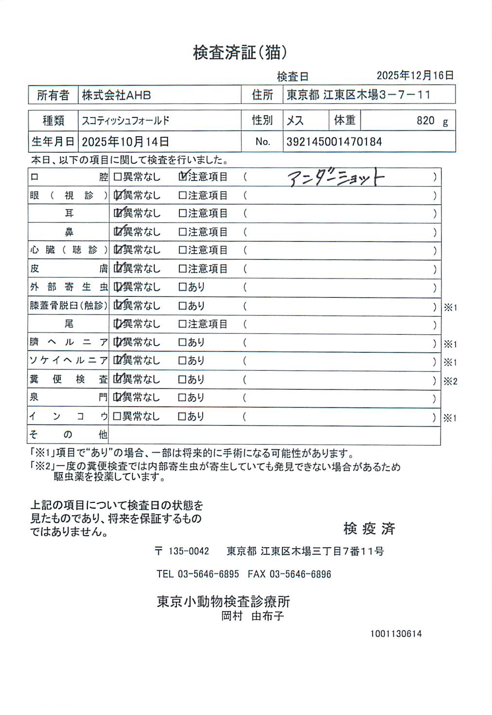 スコティッシュフォールド