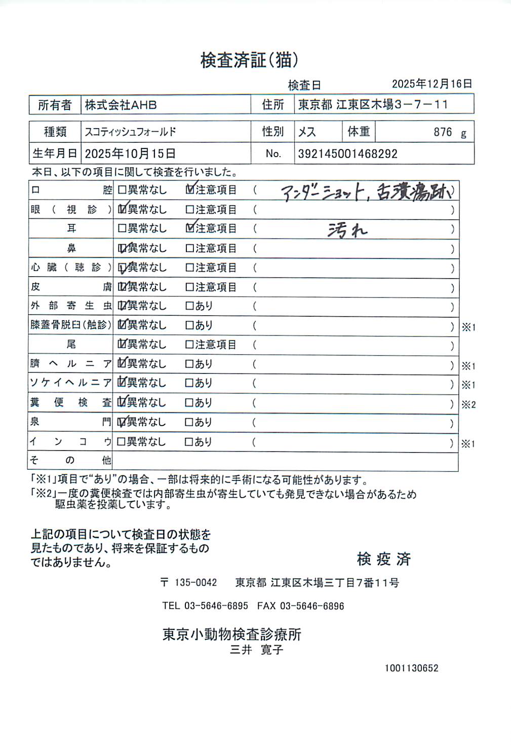 スコティッシュフォールド