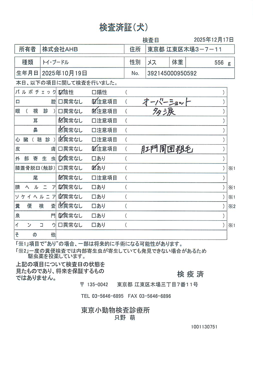 トイ・プードル