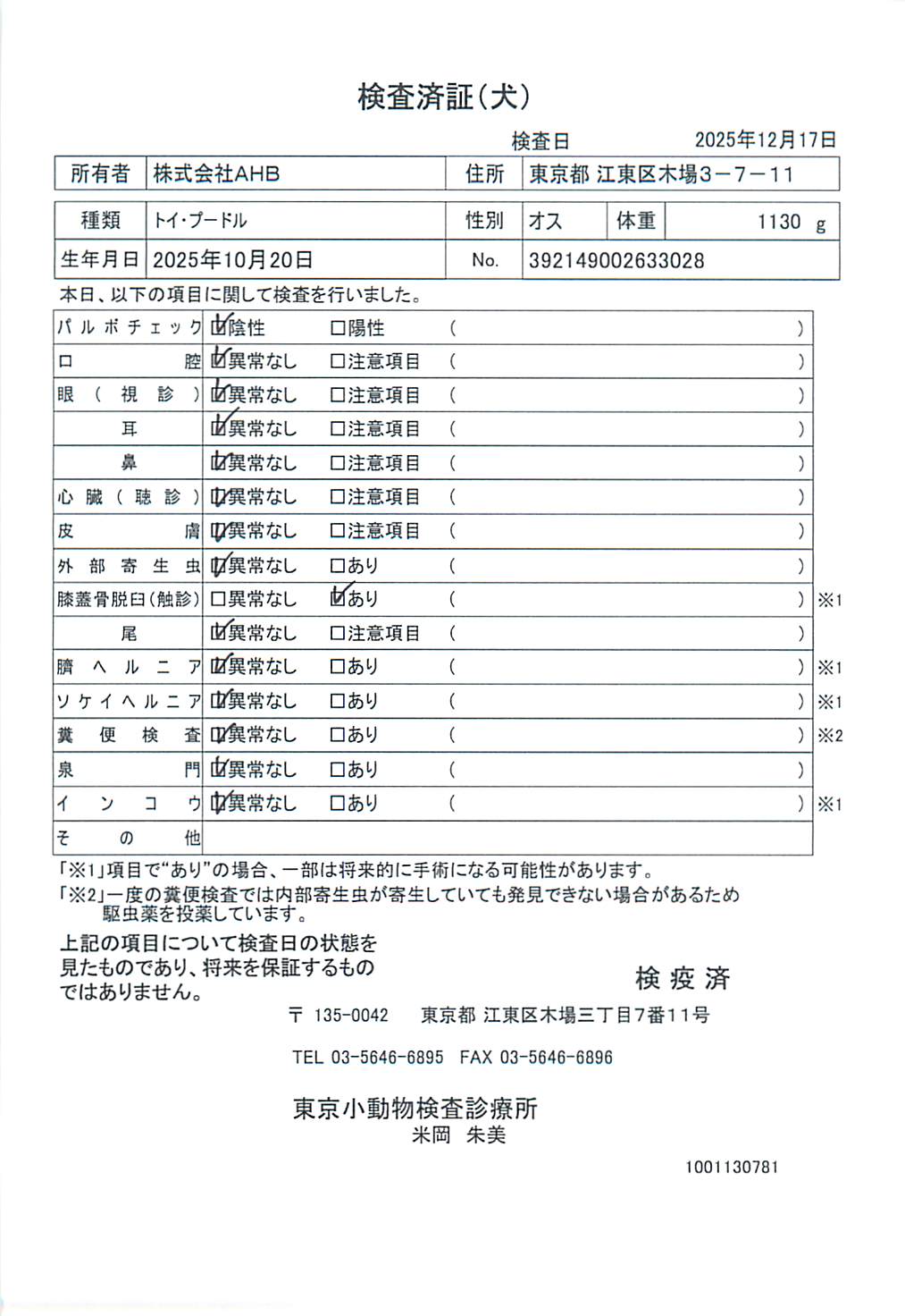 トイ・プードル
