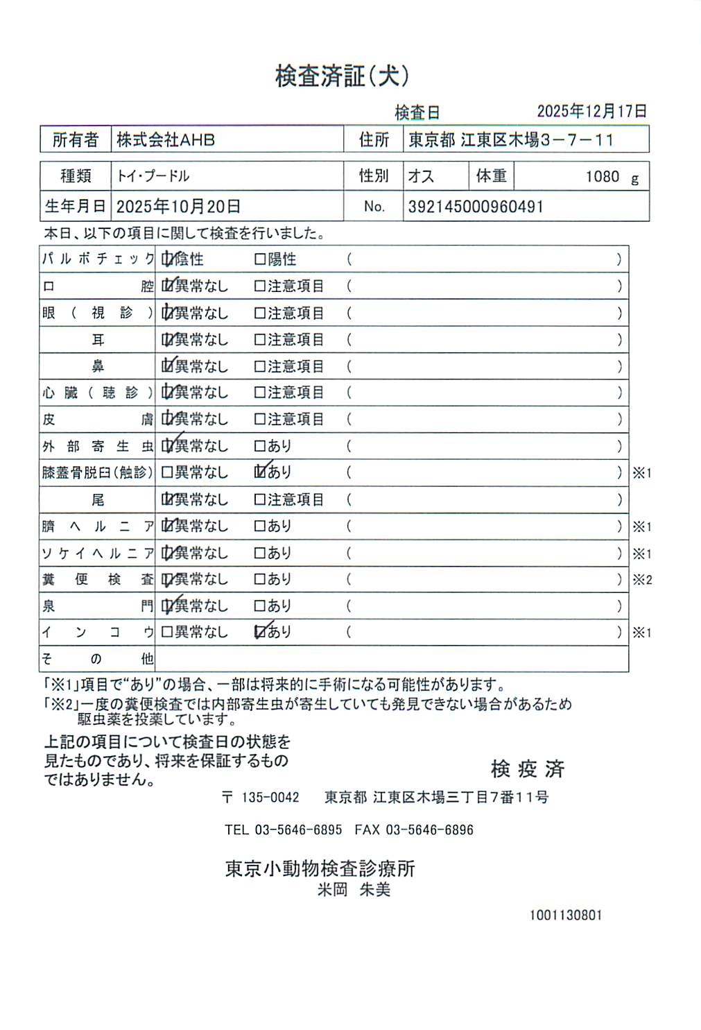 トイ・プードル