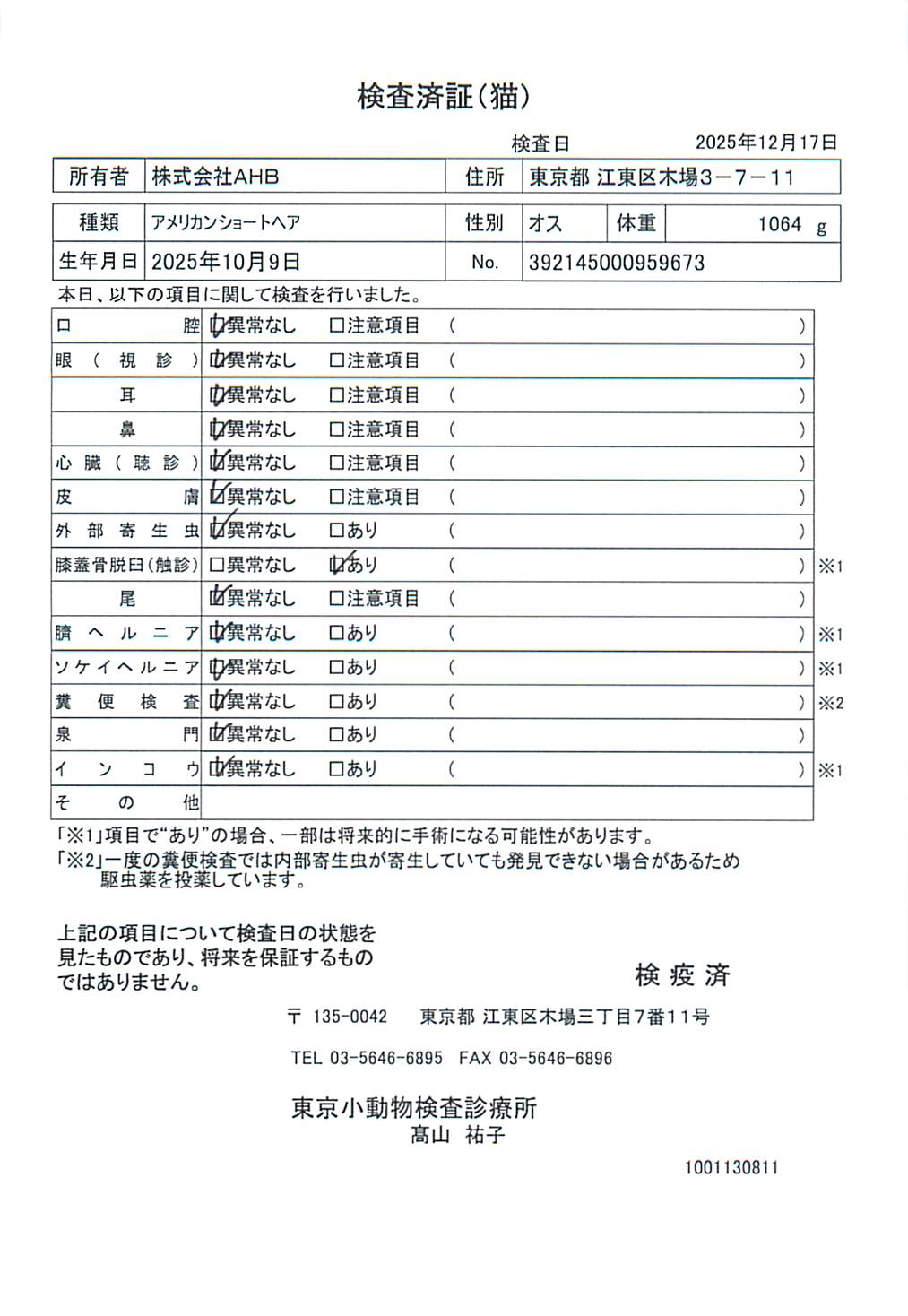 アメリカンショートヘア
