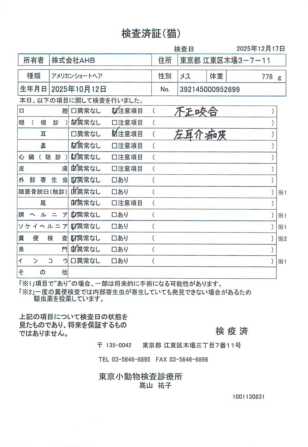 アメリカンショートヘア