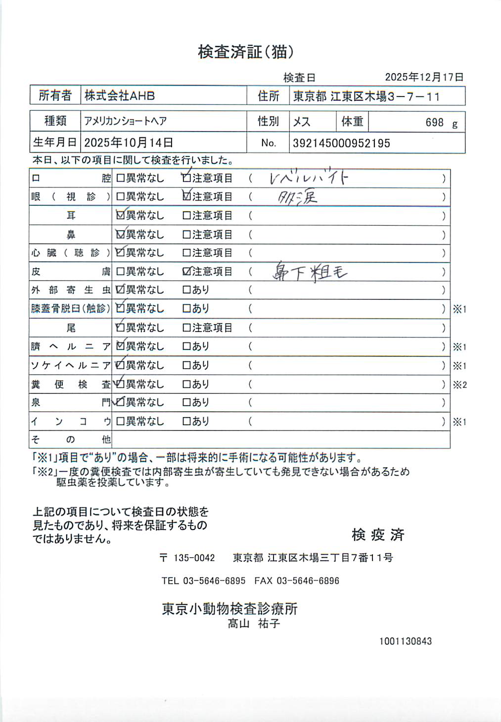 アメリカンショートヘア