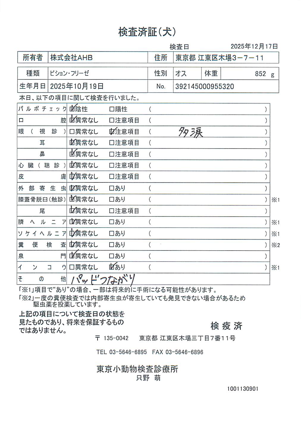 ビション・フリーゼ