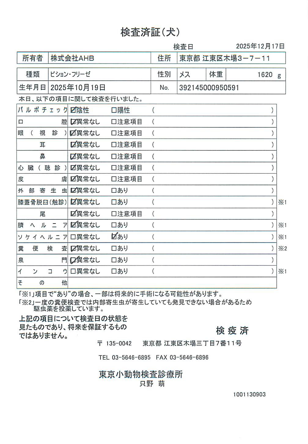 ビション・フリーゼ