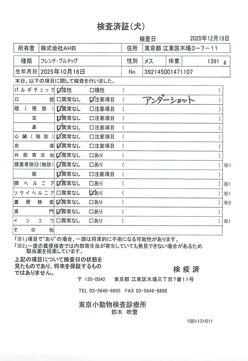 フレンチ・ブルドッグ