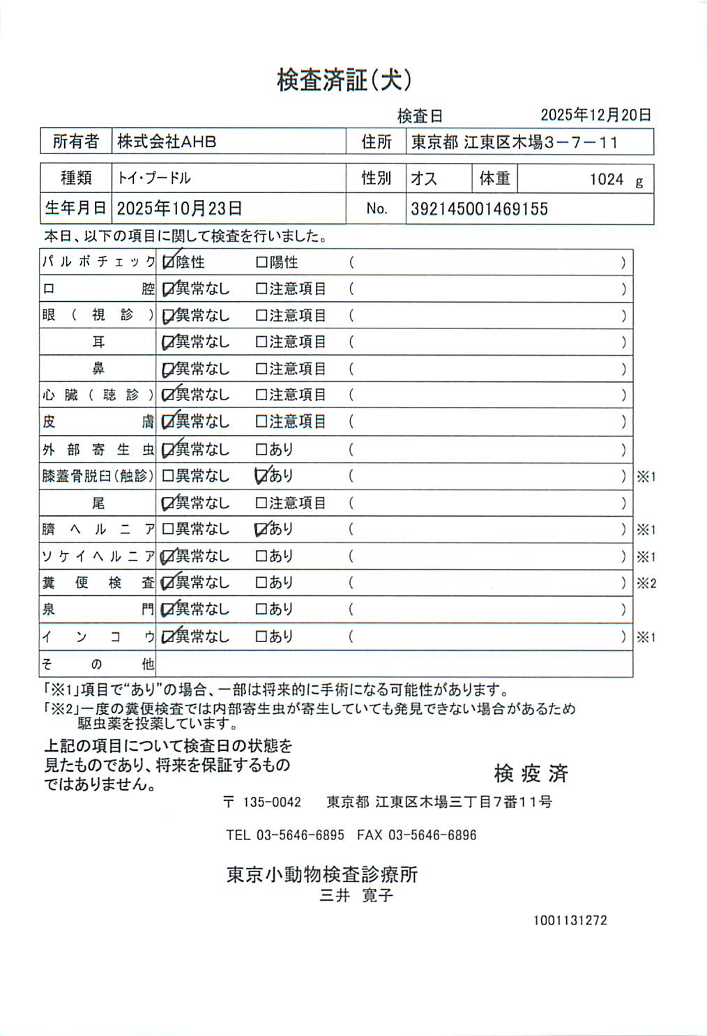 トイ・プードル