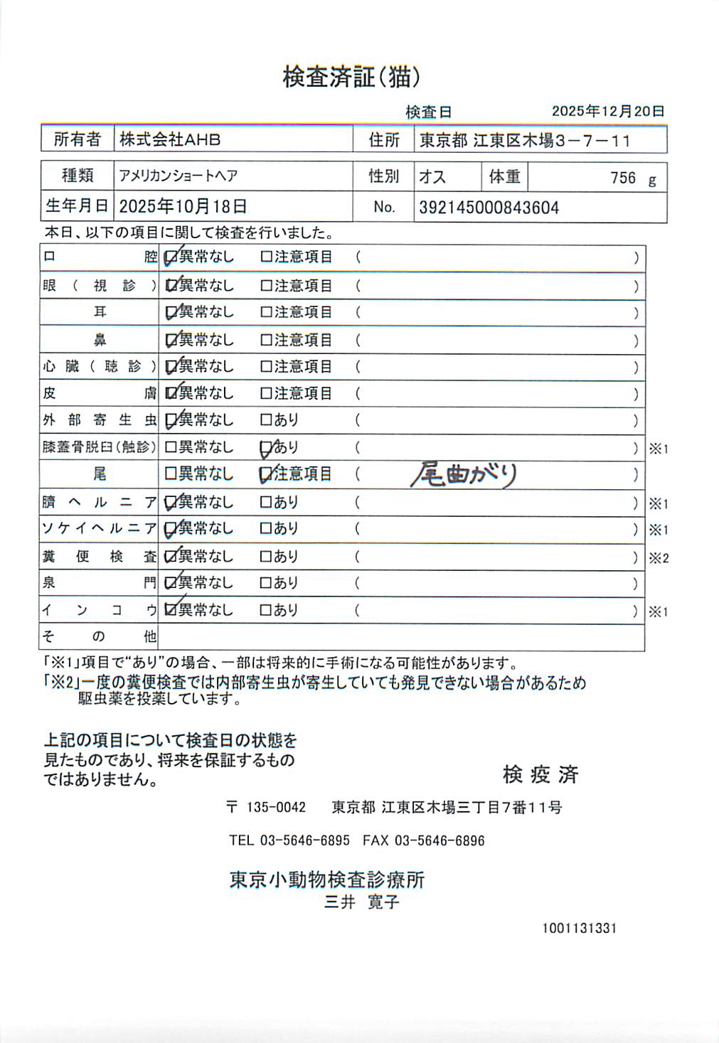 アメリカンショートヘア