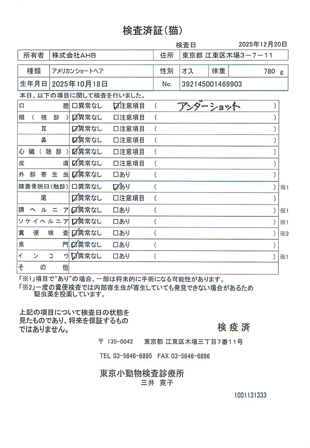 アメリカンショートヘア