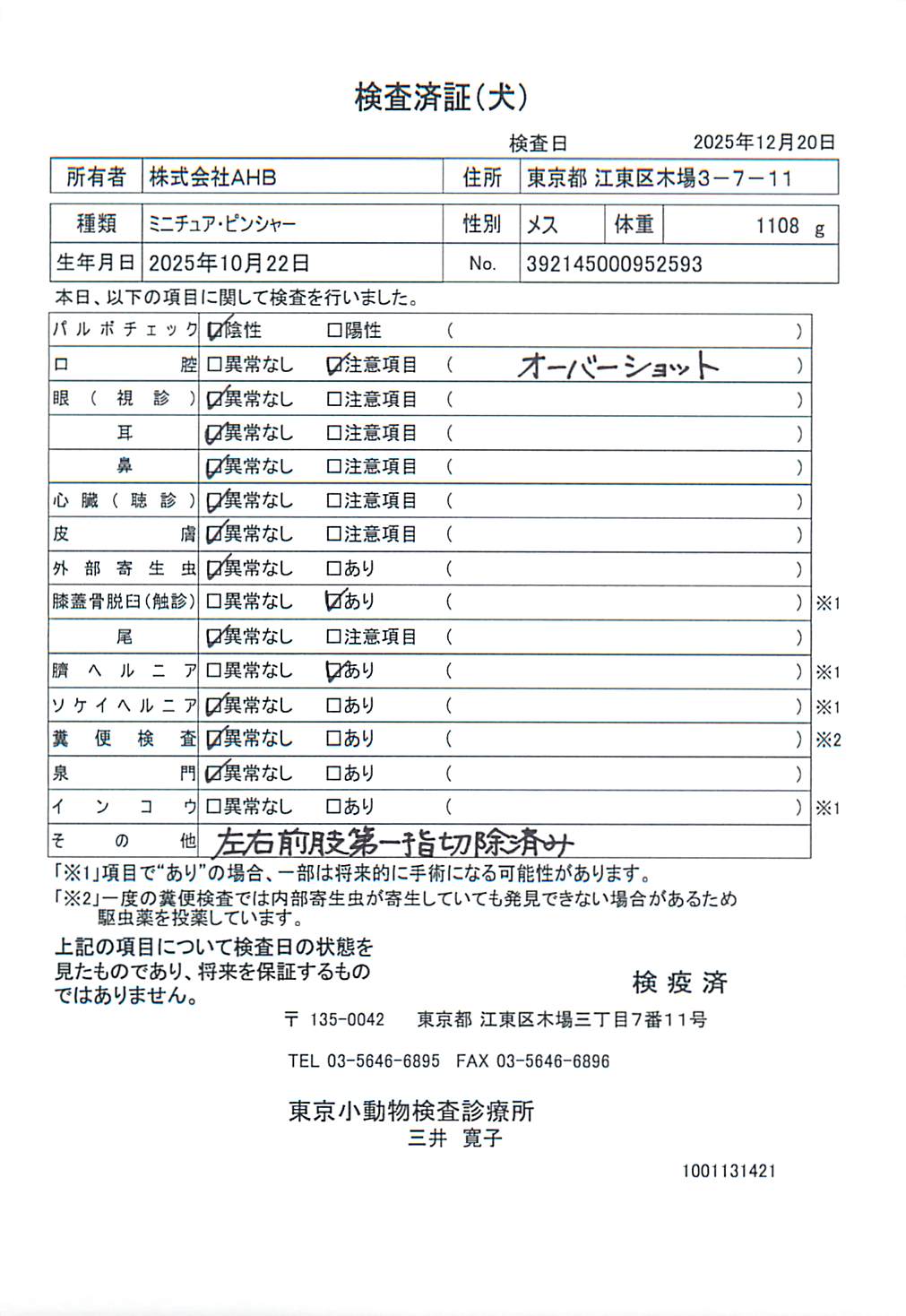 ミニチュア・ピンシャー