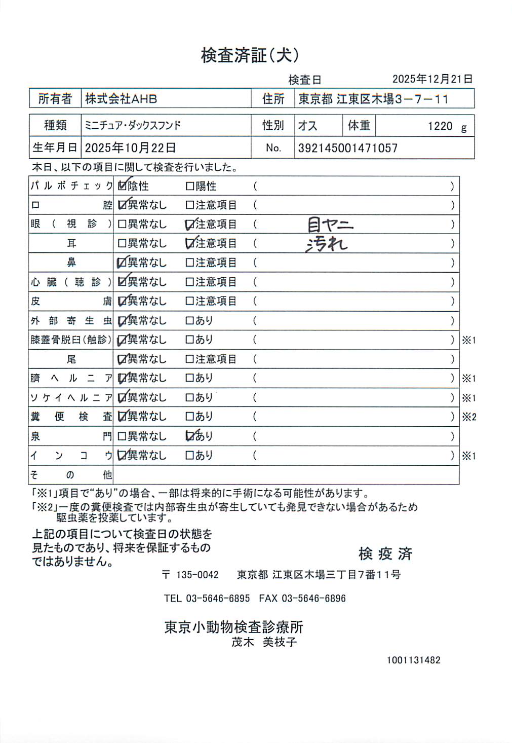 ミニチュア・ダックスフンド