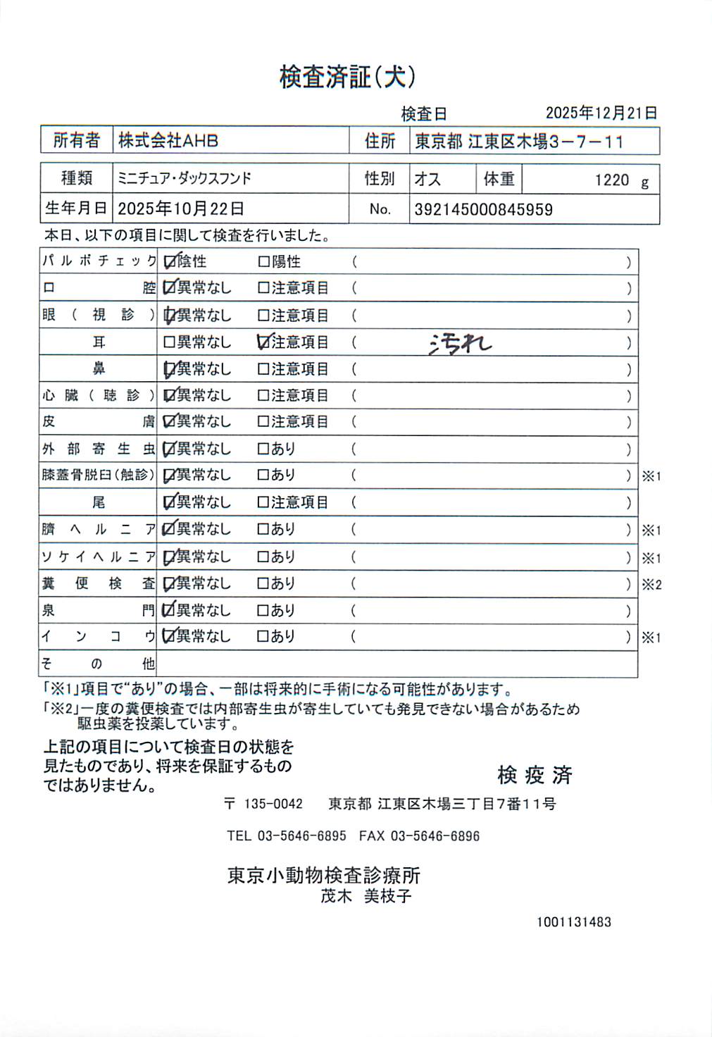 ミニチュア・ダックスフンド