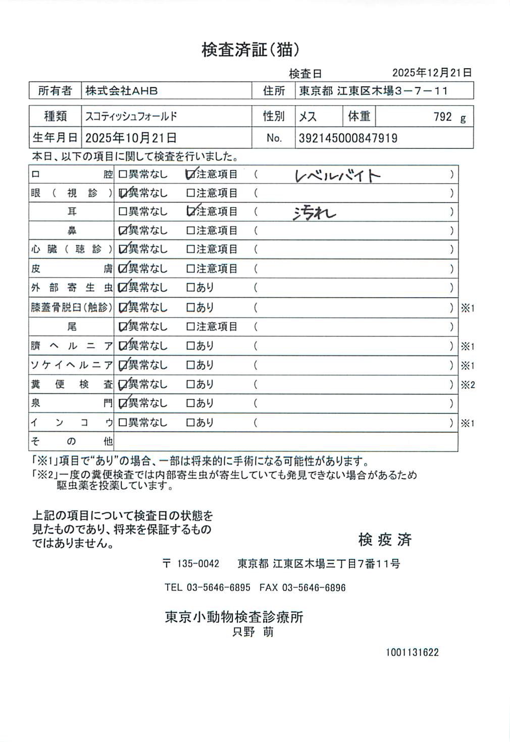 スコティッシュフォールド