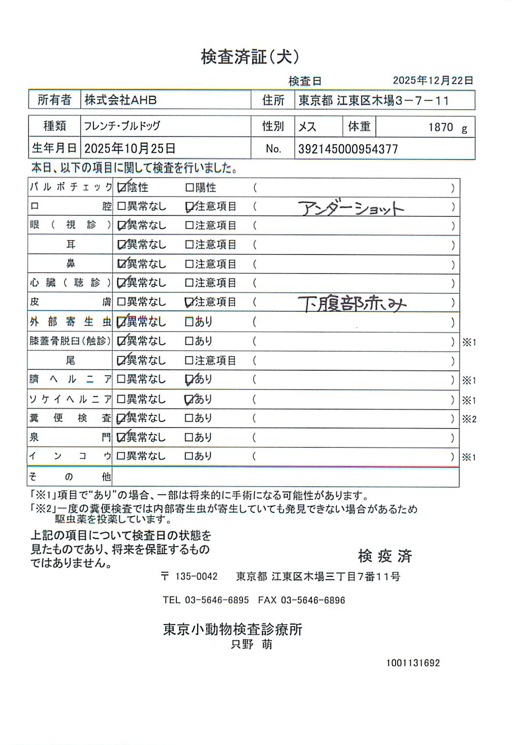 フレンチ・ブルドッグ