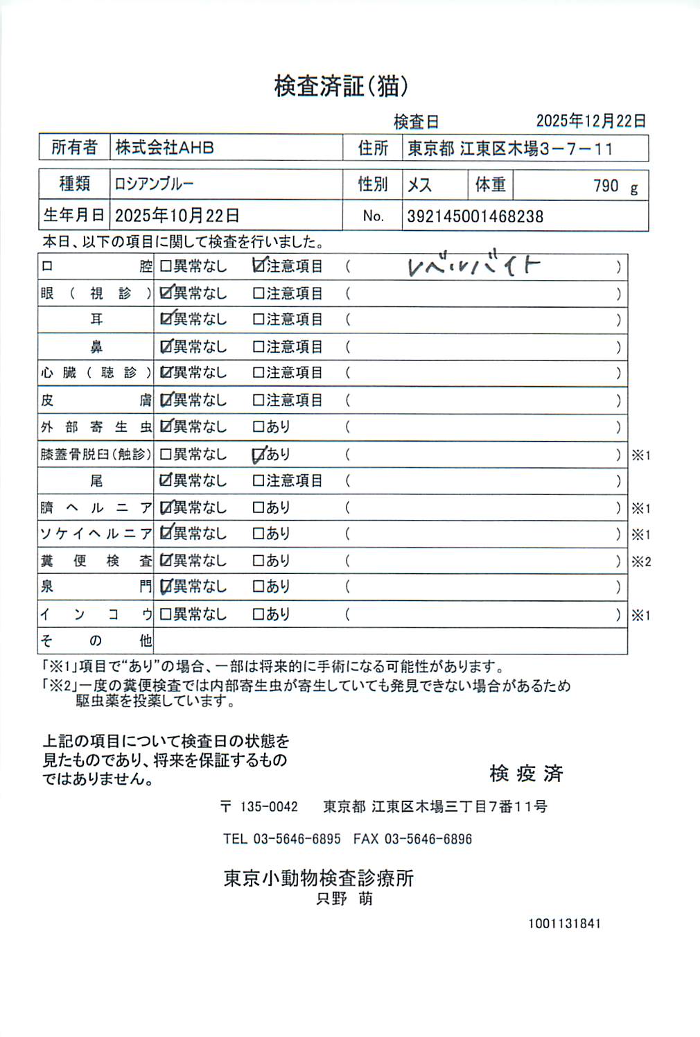 ロシアンブルー