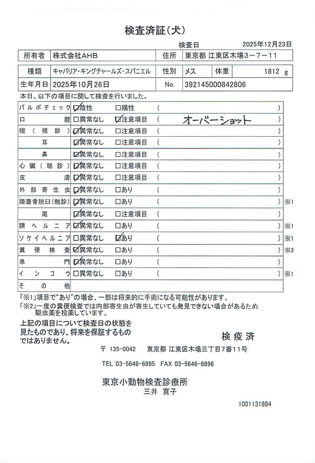 キャバリア・キングチャールズ・スパニエル