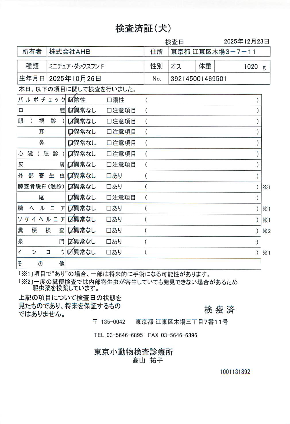 ミニチュア・ダックスフンド