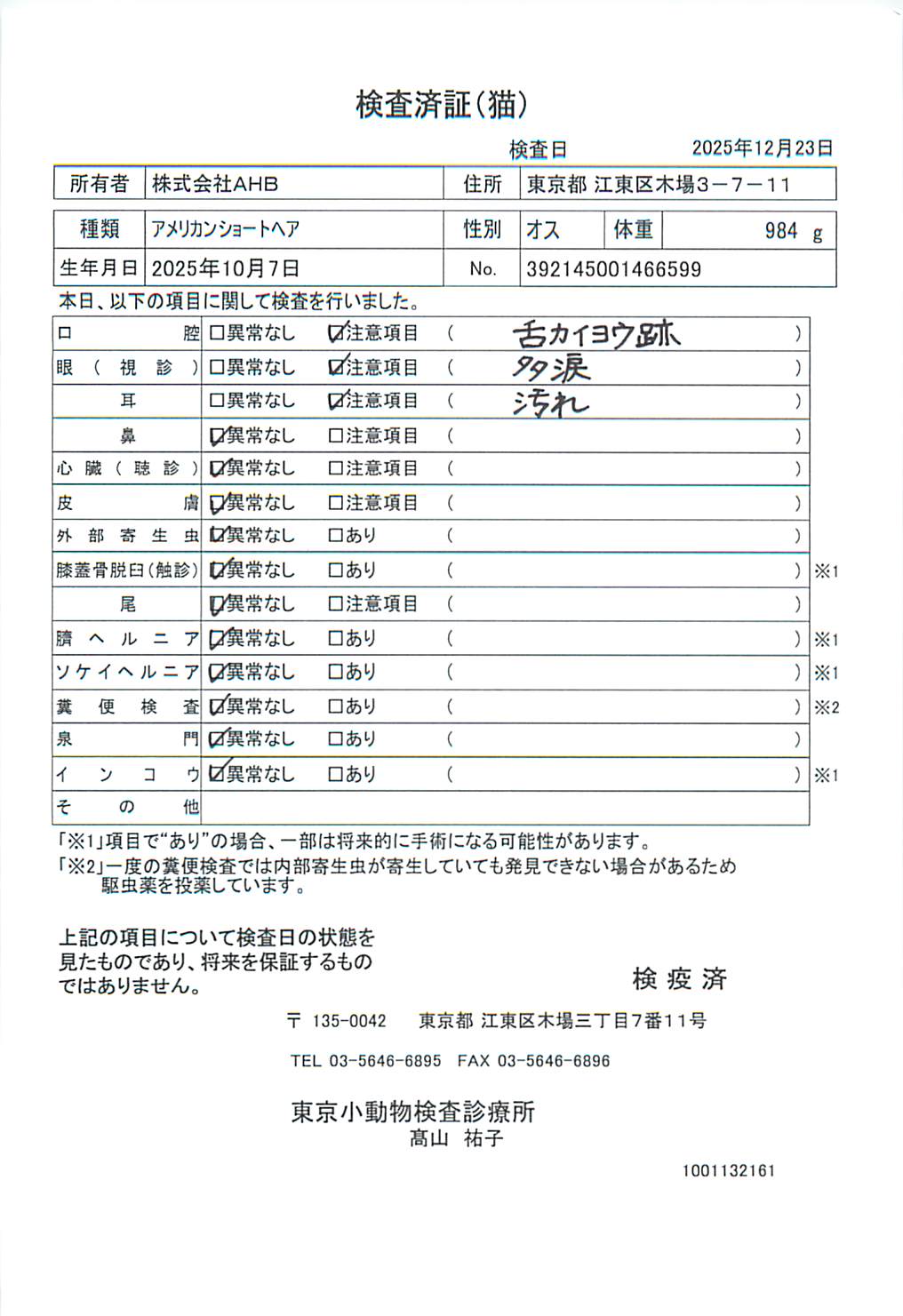 アメリカンショートヘア