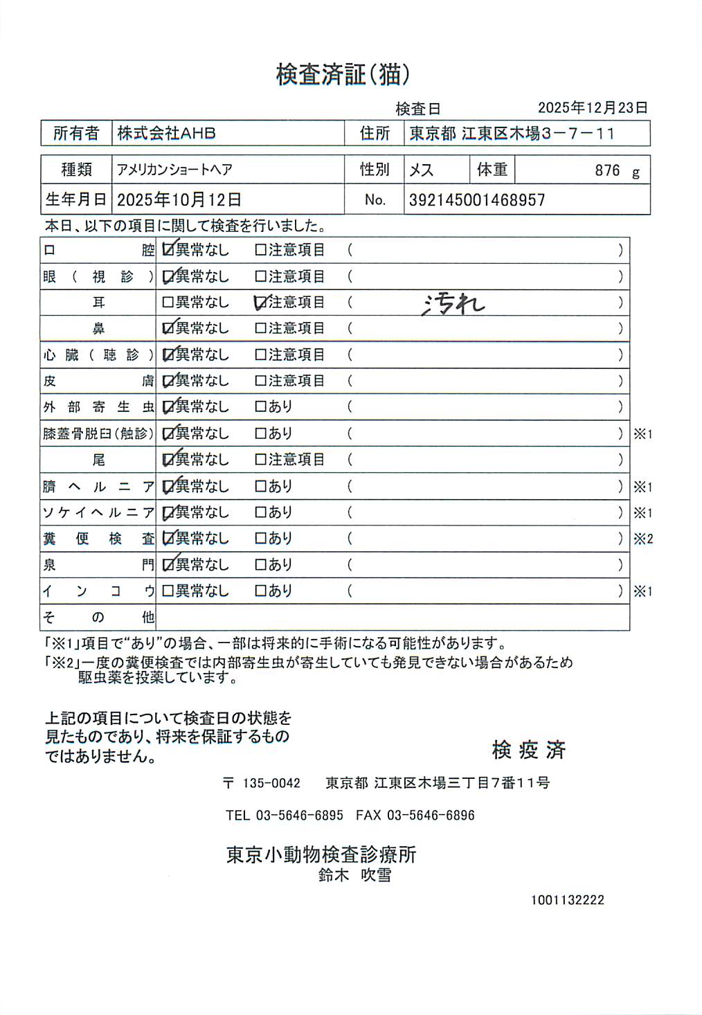 アメリカンショートヘア