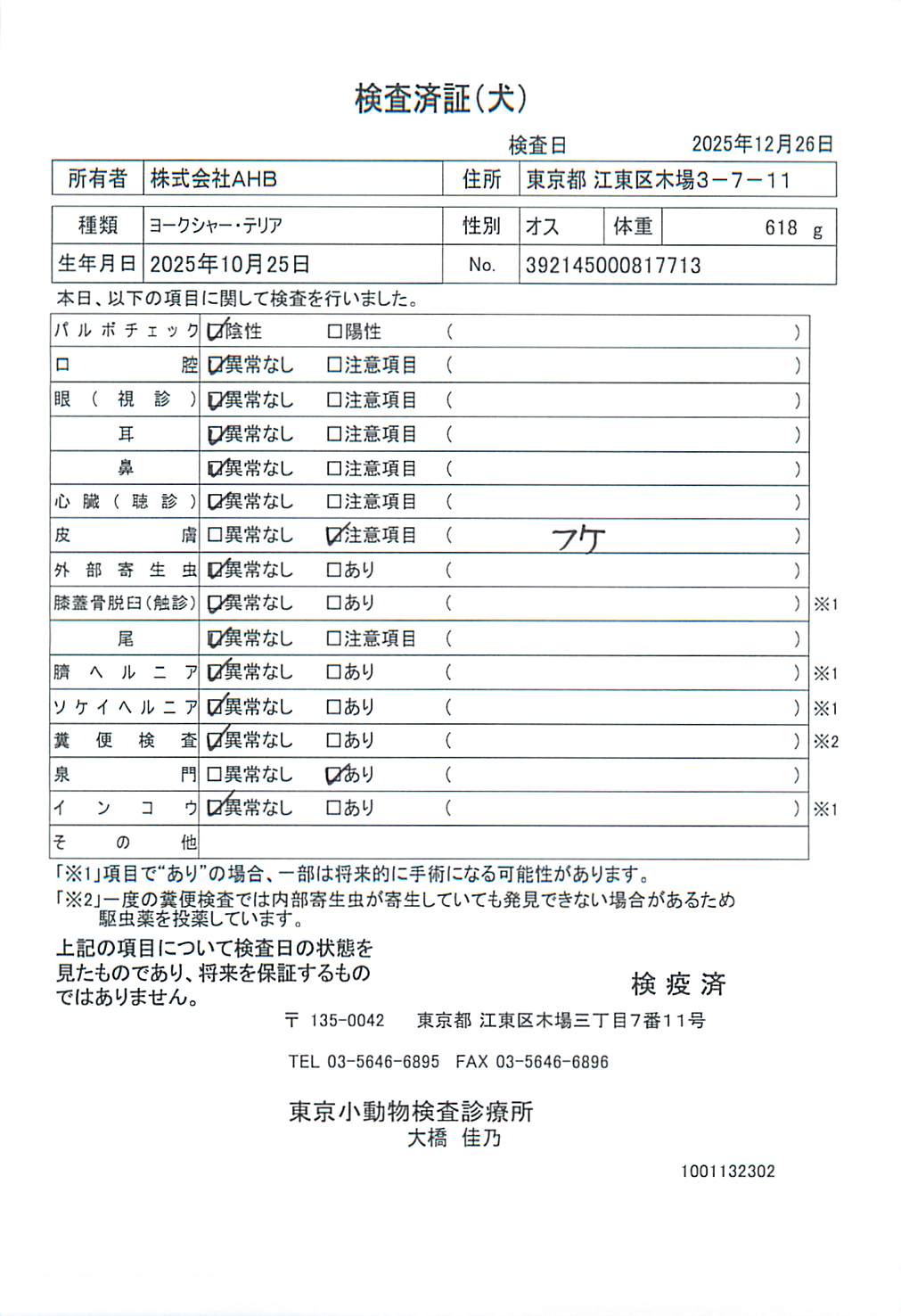 ヨークシャー・テリア