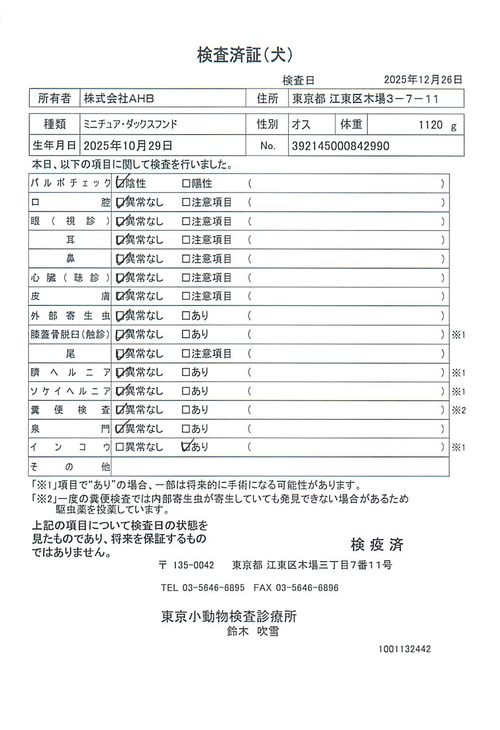 ミニチュア・ダックスフンド