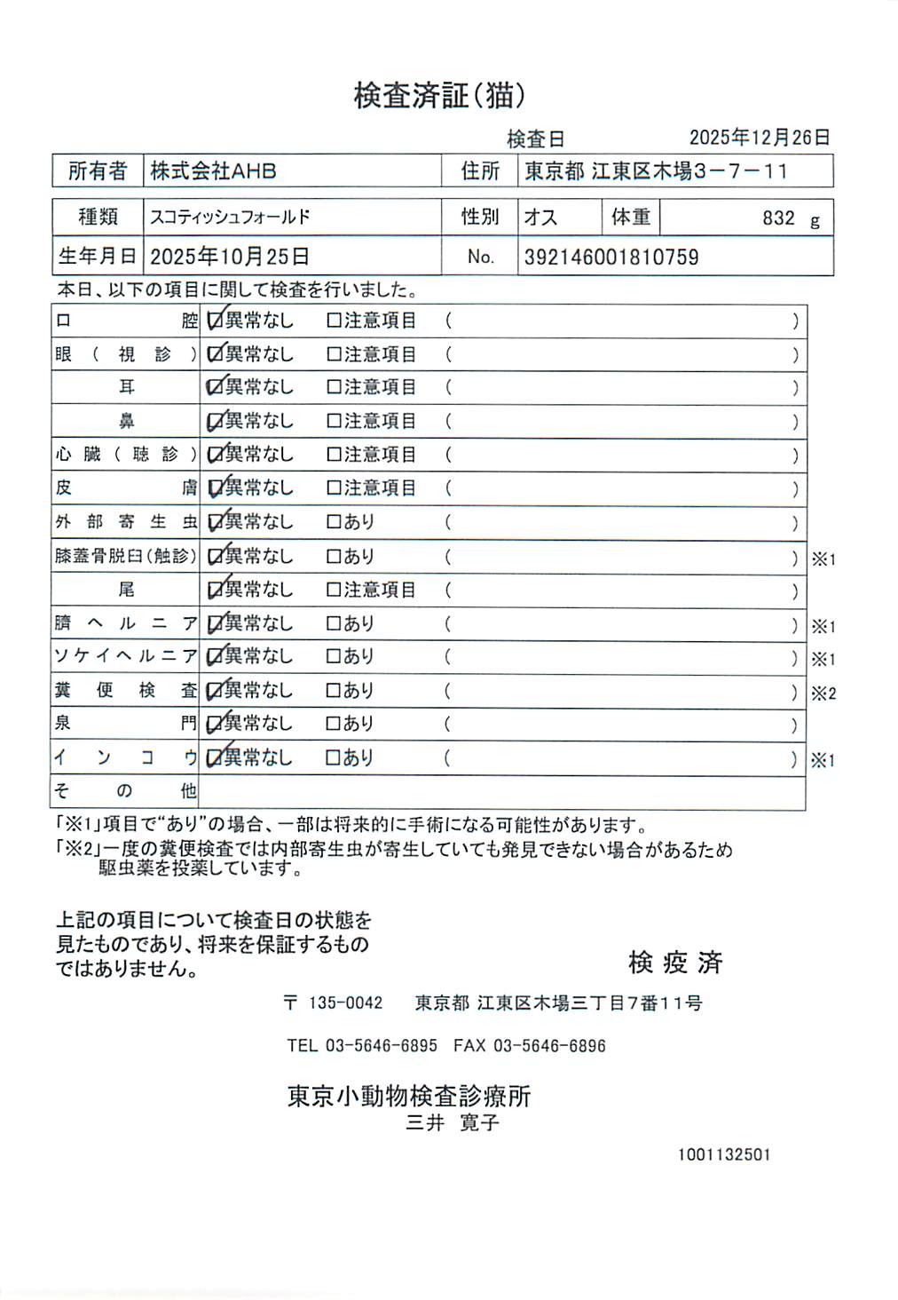 スコティッシュフォールド