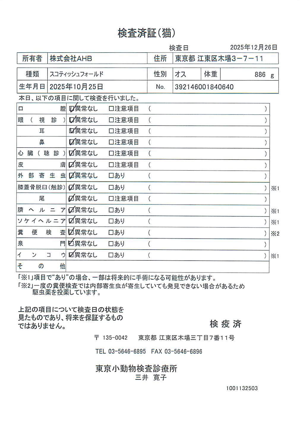 スコティッシュフォールド