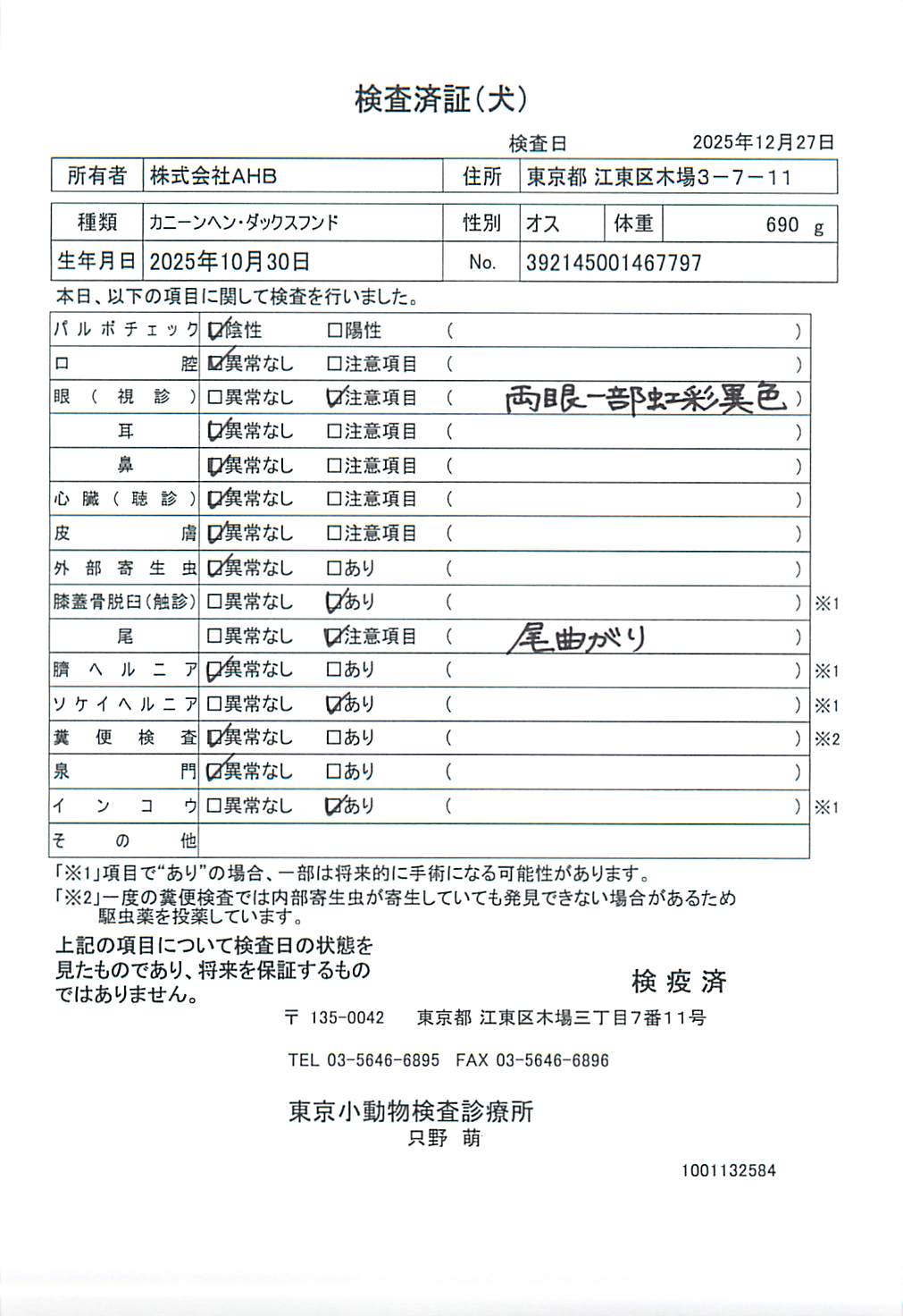 カニーンヘン・ダックスフンド