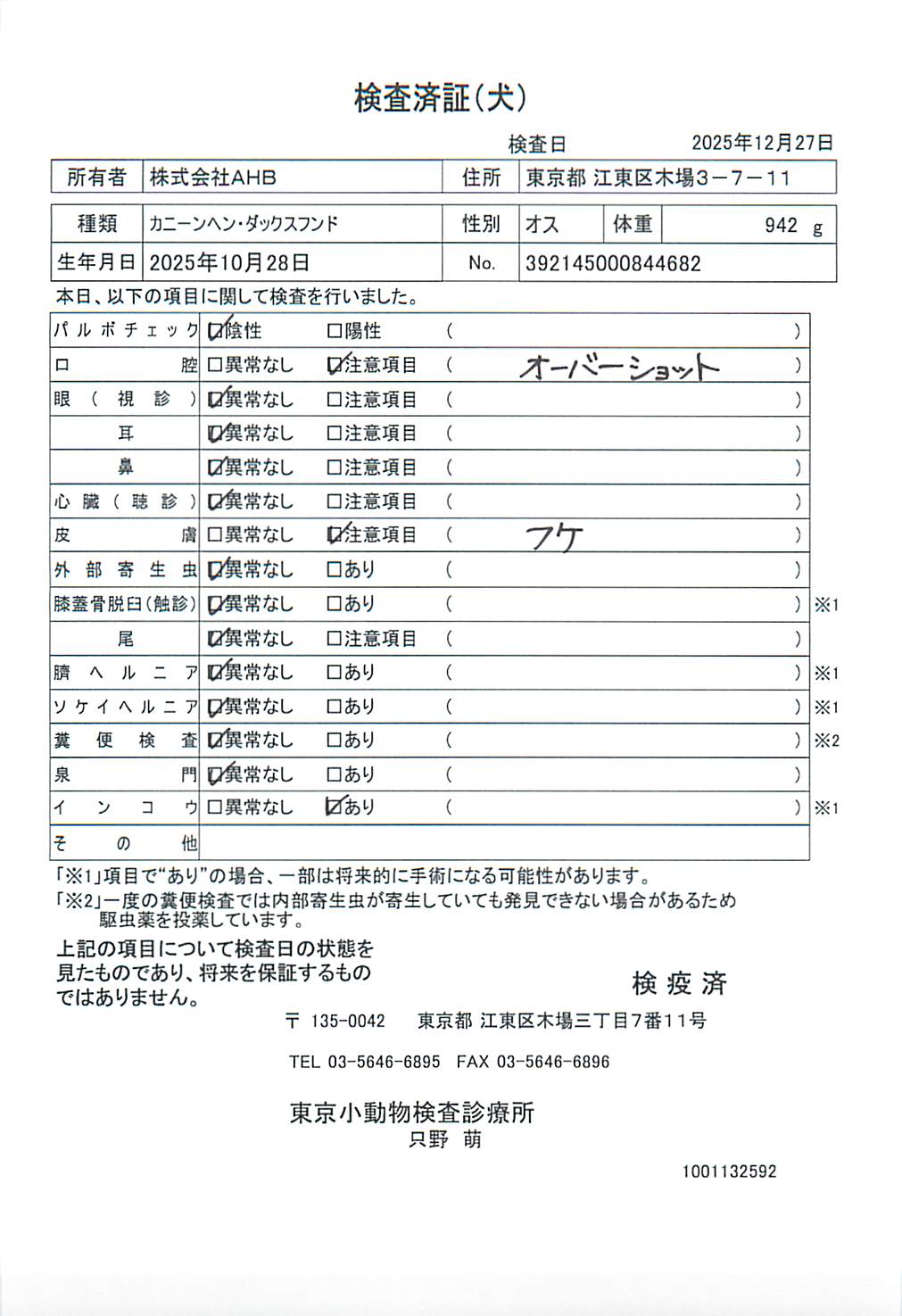 カニーンヘン・ダックスフンド