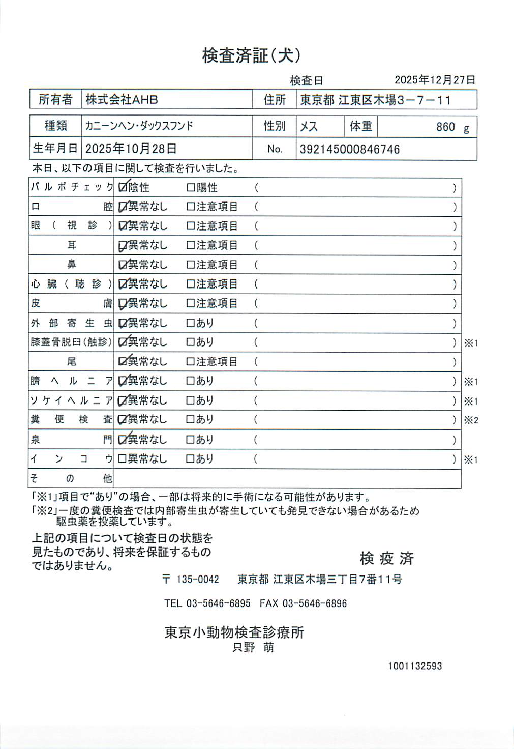 カニーンヘン・ダックスフンド
