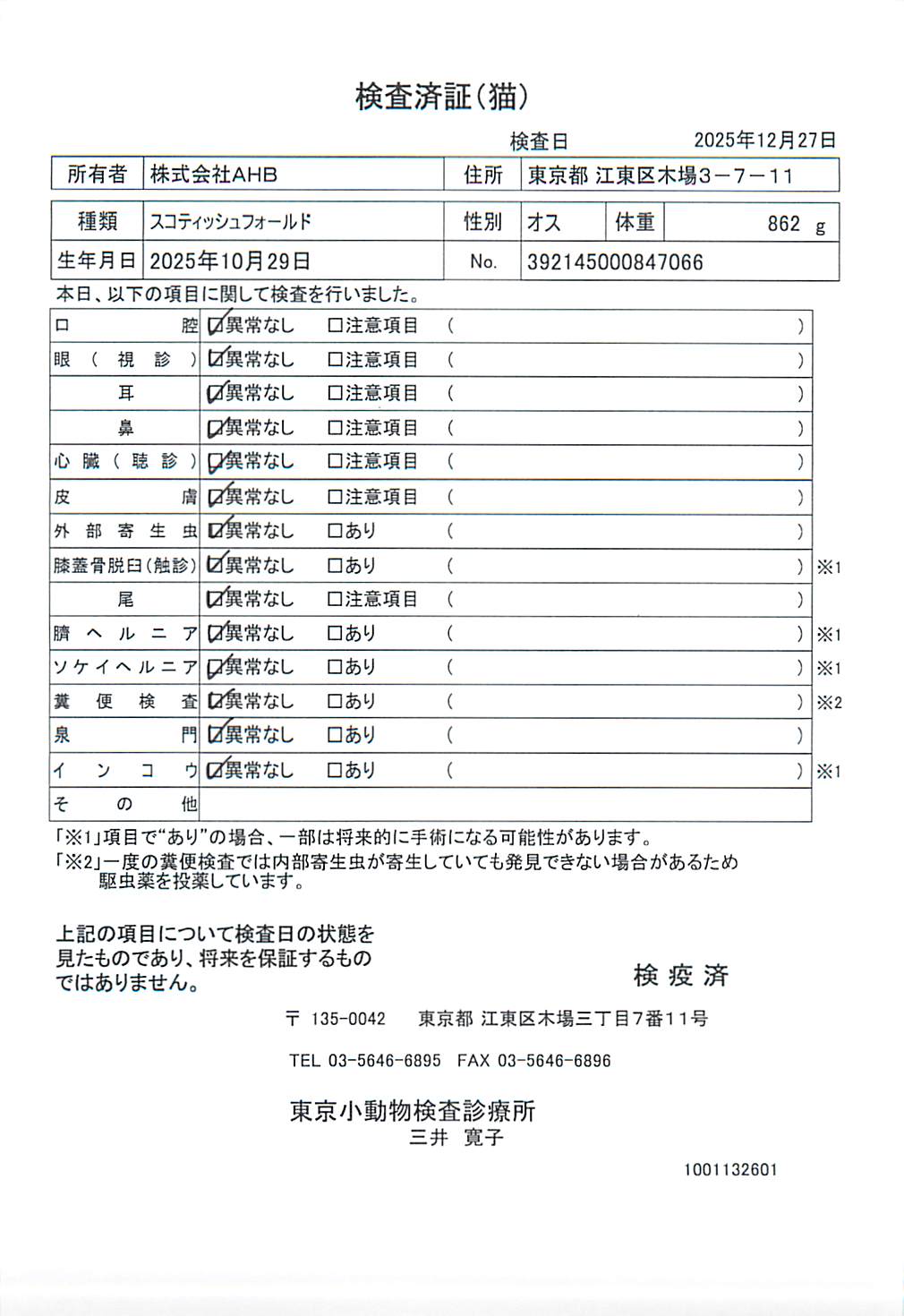 スコティッシュフォールド